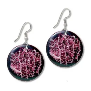 Ohrringe Schaumkoralle Ohrringe Schaumkoralle kaufen