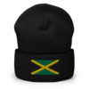 Jamaican flag beanie