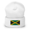 Jamajčanska kapica