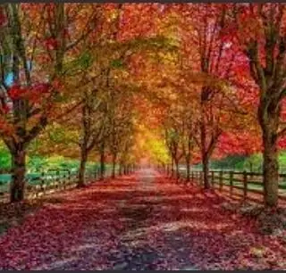 My favorite time of the year!!! Happy 1st day of fall. Are yall coloring your ha…