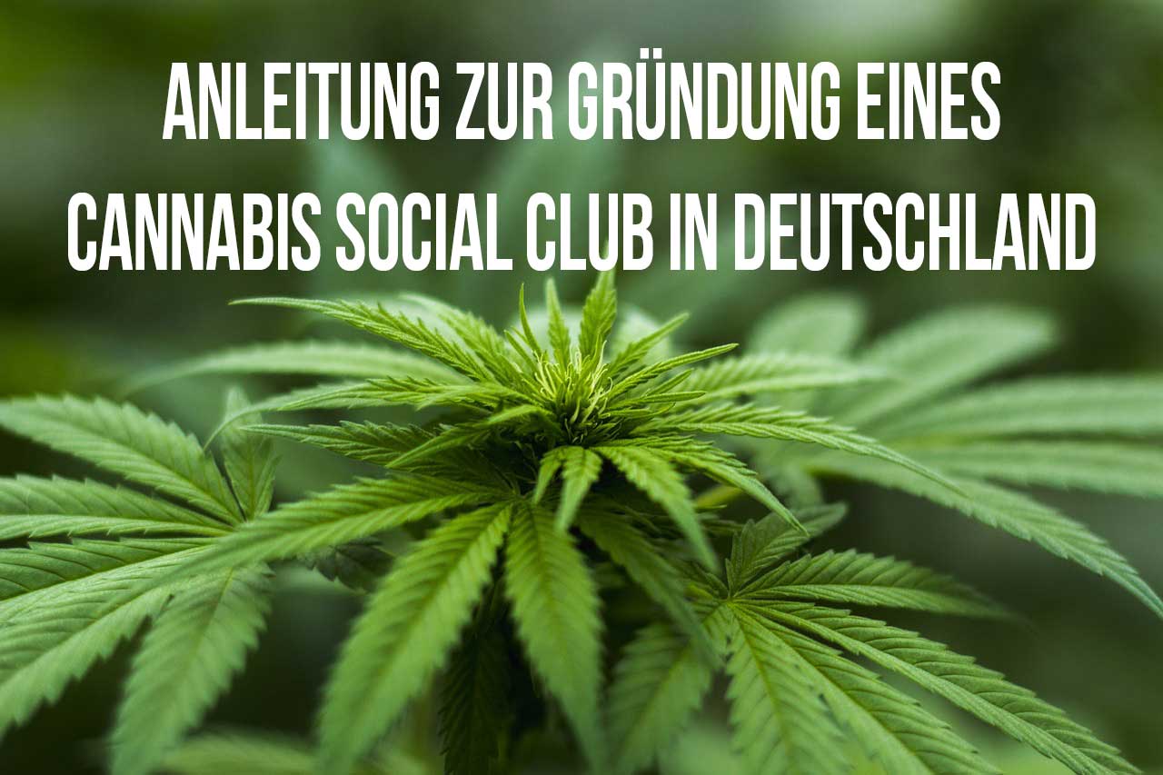 Anleitung zur Gründung eines Cannabis Social Club