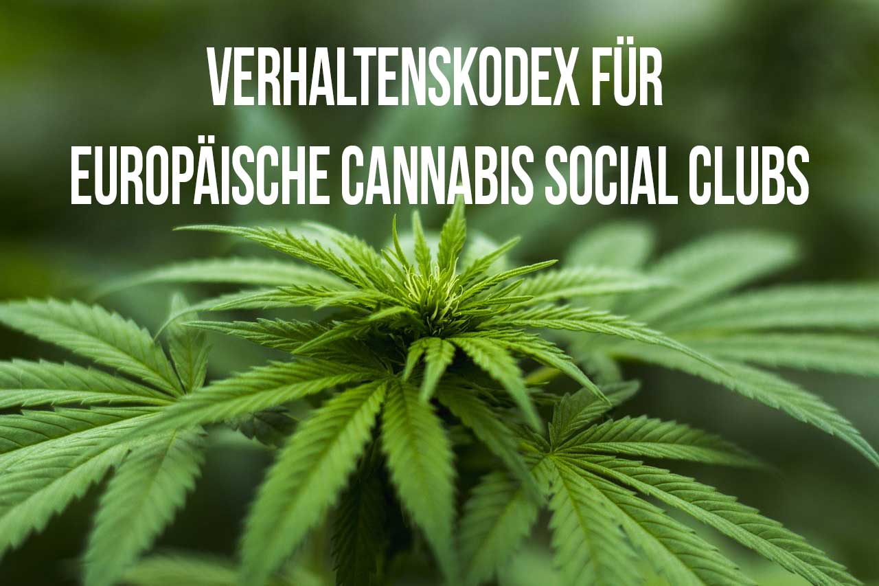 Código de conducta para los clubes sociales europeos de cannabis