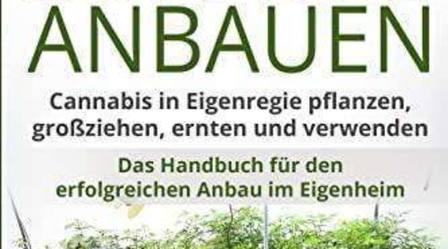 Cannabis zuhause anbauen – Das Handbuch