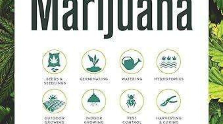 Marihuana anbauen leicht gemacht – Buch von Murph Wolfson