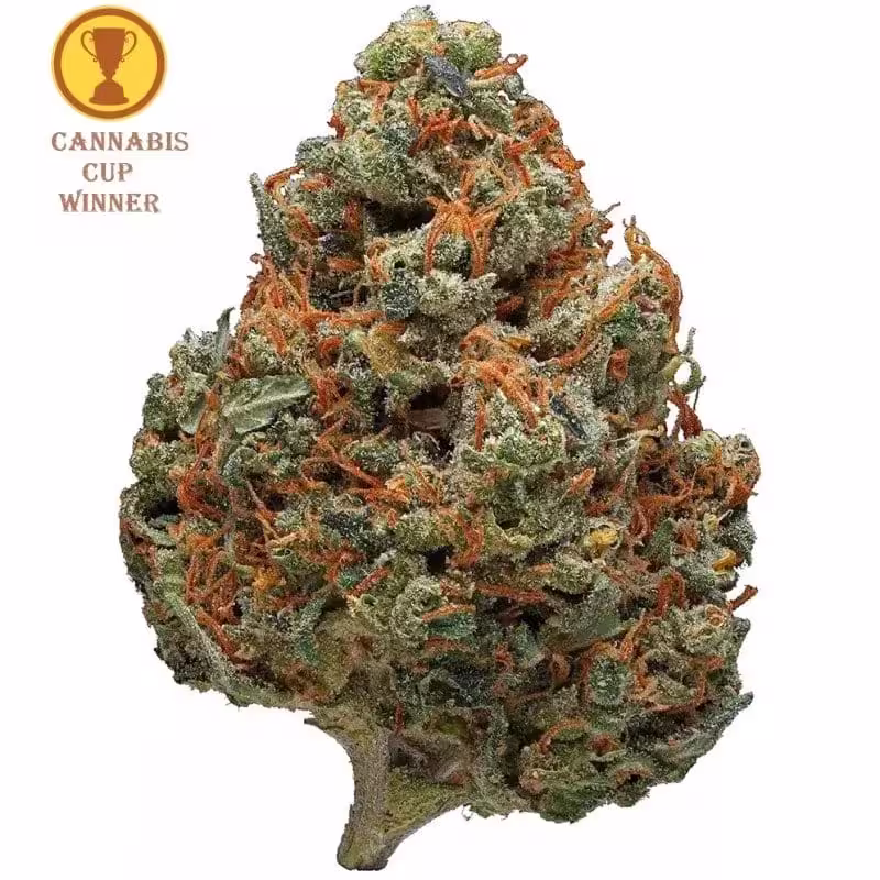 CBD Blüten kaufen