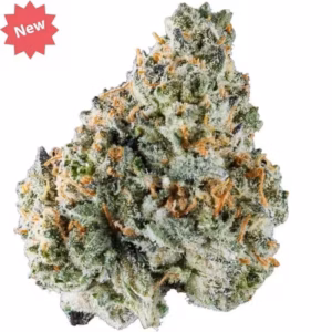 CBD Blüten Shop