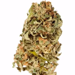 CBD Blüten kaufen