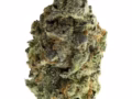 CBD Blüten günstig kaufen