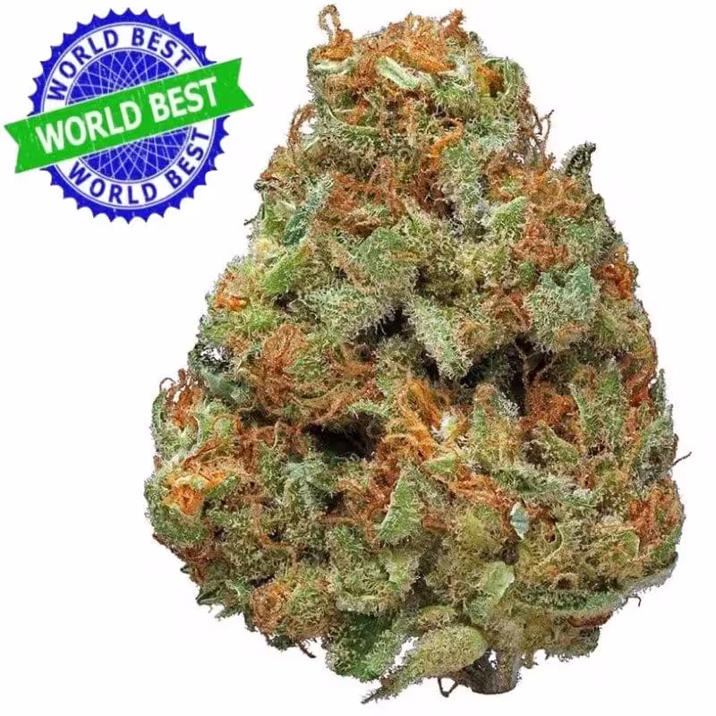 CBD Blüten Shop
