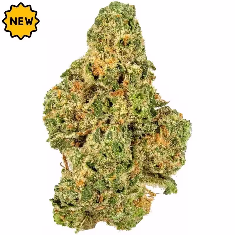 CBD Blüten kaufen