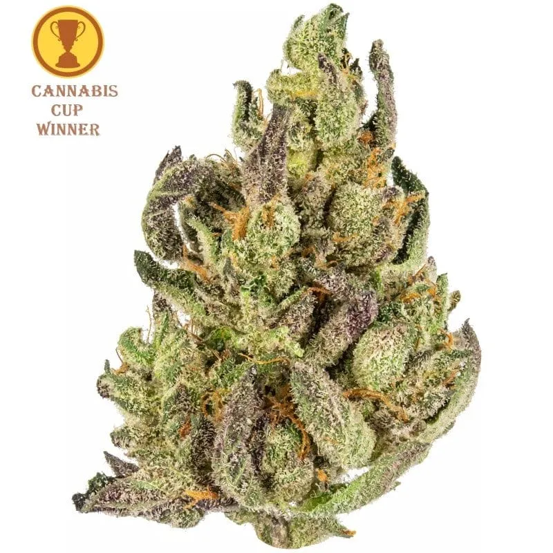 CBD Blüten kaufen