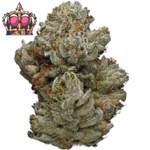 CBD Blüten Shop
