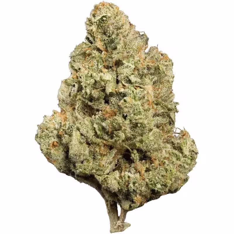 CBD Blüten günstig kaufen
