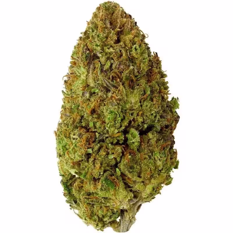 CBD Blüten günstig kaufen