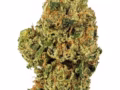 Hanf CBD Shop